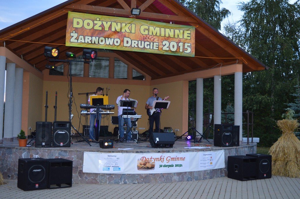 Dozynki Gminne 2015 (54)